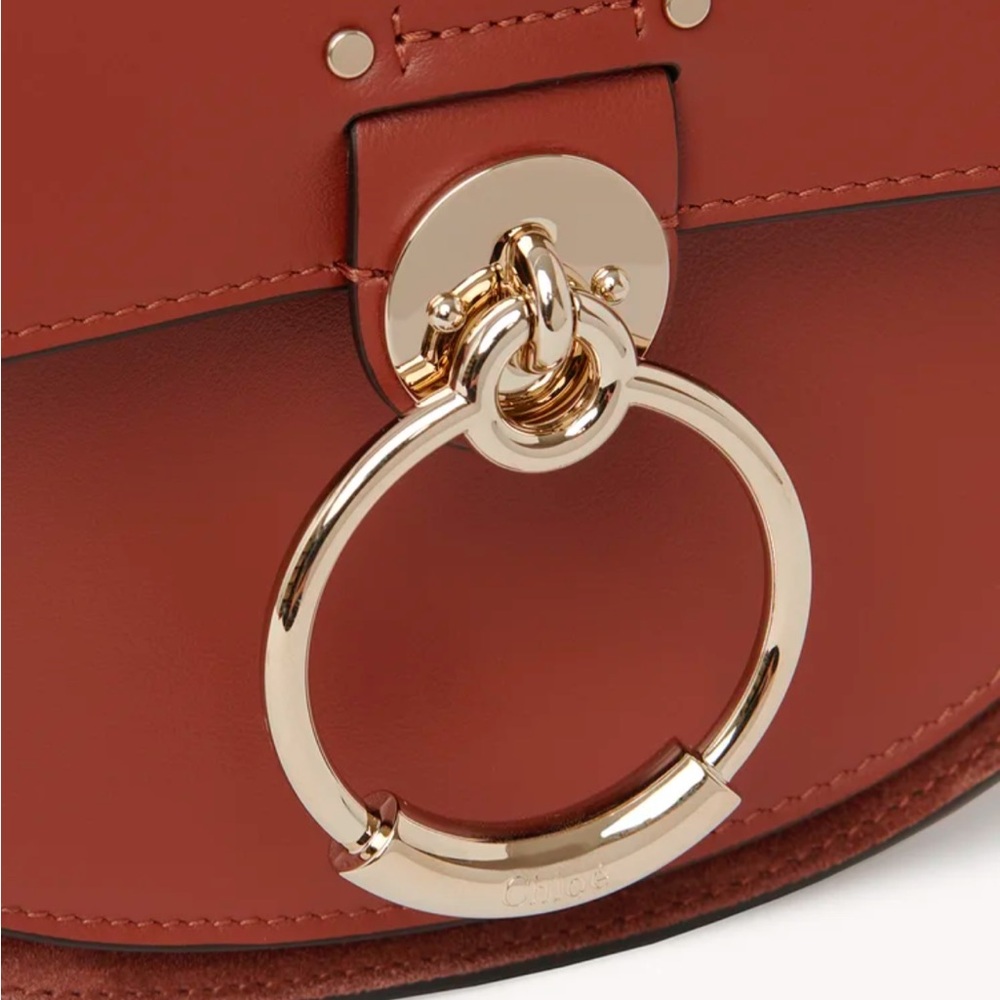 SMALL TESS BAG IN SHINY & SUEDE LEATHER - Picture 3 of 14